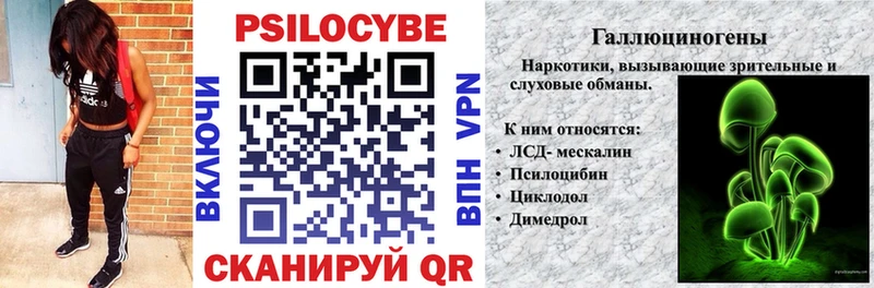 blacksprut ONION  Рославль  Псилоцибиновые грибы прущие грибы 